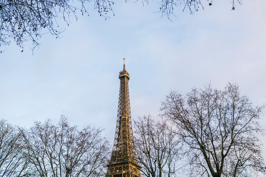 Eiffel Tower between leafless trees under a blue sky