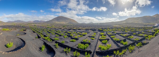 Panoramic view over barren volcanic Timanfaya National Park on Lanzarote with vines