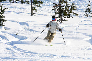 A skier enjoying fresh snow in Whistler, BC.