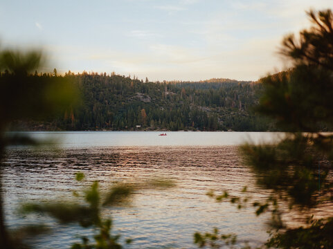 Pinecrest