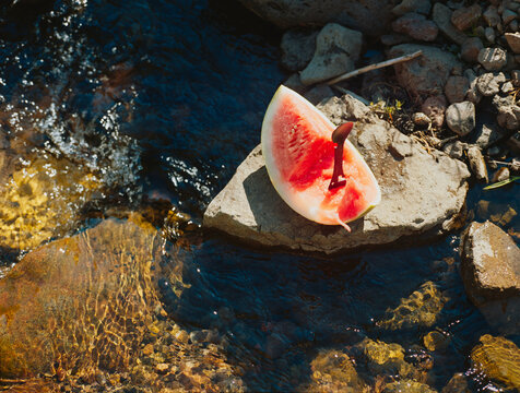 Swimming Hole
