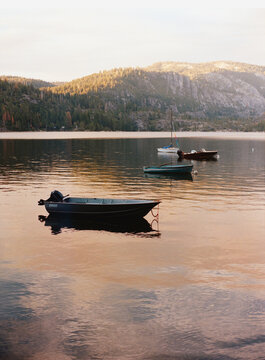 Pinecrest