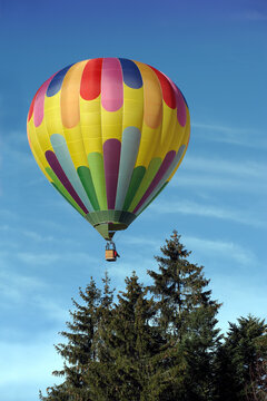 A vivid hot air balloon floating up beyond the trees.