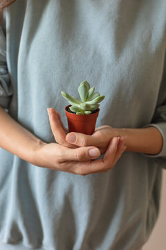 small pot in a pot