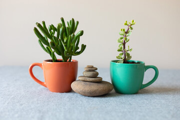 vases and balance stones