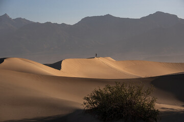 Fototapeta na wymiar Death Valley, USA. Mesquite flats sand dunes in early morning. A man standing alone on the top of the dune.