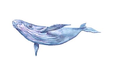 Watercolor blue whale isolated on white background. Artwork of marine creature for ecological article, blogs, greenpeace, prints, tags, fabric.