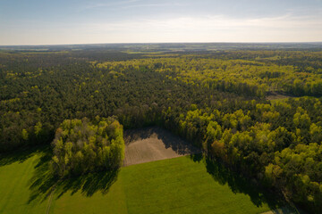 Obraz premium Sustainable agriculture. Forests and forest management. Small farms. Tourism. Agritourism.