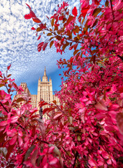 The view on the residential Stalinist high-rise building on Kudrinskaya Square and Pink apple blossom. Skyscraper on Barrikadnaya in flowers.  Stalinist skyscrapers.  Moscow, Russia. 
