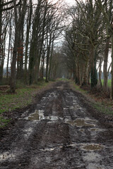 Obraz premium Walking and cycling trail - around Montfort L'amaury - Yvelines - Ile-de-France - France