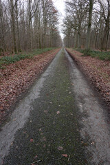 Fototapeta na wymiar Walking and cycling trail - around Montfort L'amaury - Yvelines - Ile-de-France - France