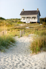 A sandy trail surrounded by brush leading up to a cottage on the beach. Vertical shot.