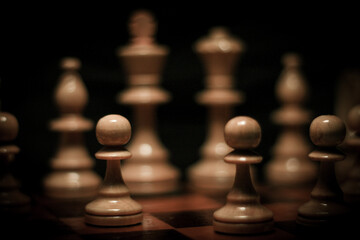 chess pieces on a chessboard