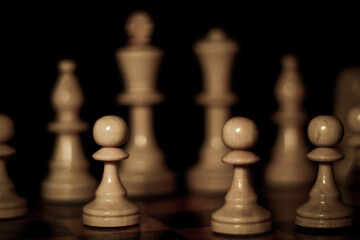 chess pieces on the board