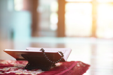 muslim women in hijab are praying to show respect and thanks to allah according to muslim belief and muslim women in hijab are praying to allah according to traditional belief from quran