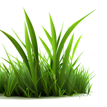 Green grass Transparent clip art Ai generated image