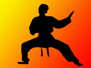 Fototapeta na wymiar kung fu