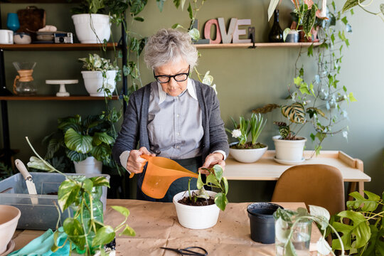 Woman Watering Plant