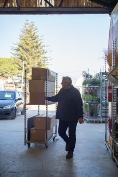 Man transporting boxes