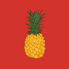 pineapple on a red to orange background