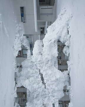 Snow creature