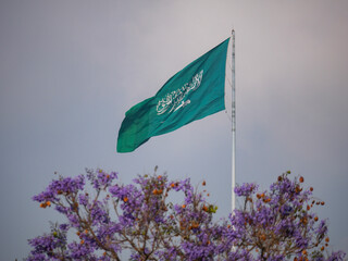 Saudi flag in the city of Abha with flowering purple jacaranda trees in the foreground