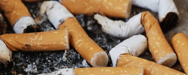 cigarettes filters in the ashtray