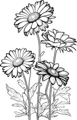 Sunflowers Line Art Illustration