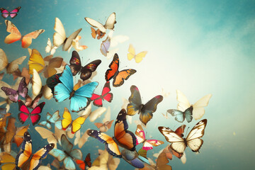 Illustration of various and colorful butterflies background. Generative AI - obrazy, fototapety, plakaty