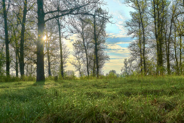 
Dawn and sunrise in early spring, dew on the grass.