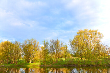 Spring dawn over the trees near the river with blue sky.