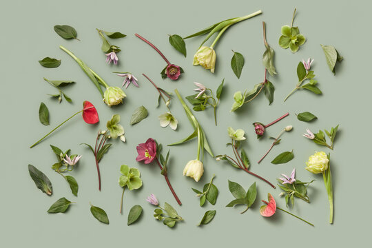 Flowers and leaves rectangular pattern