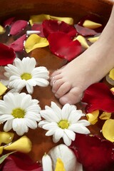 Fototapeta na wymiar Aromatherapy, flowers children feet bath, colorful rose petal