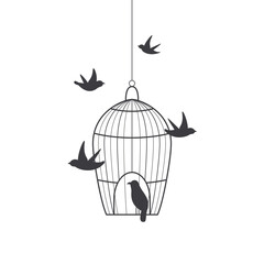 birds in cage