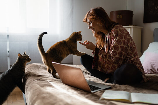 A woman working on her laptop and being distracted by her cats