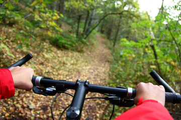 Biking. Mountainbike in the autumn forest.