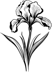 Flower Line Art