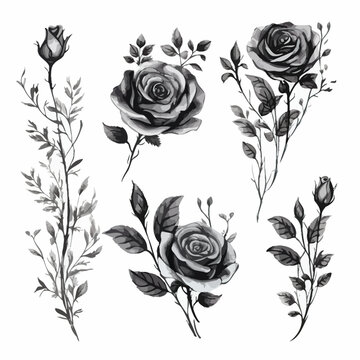 Set of floral watecolor. black flower and leaves. Floral poster, invitation floral. Vector arrangements for greeting card or invitation design