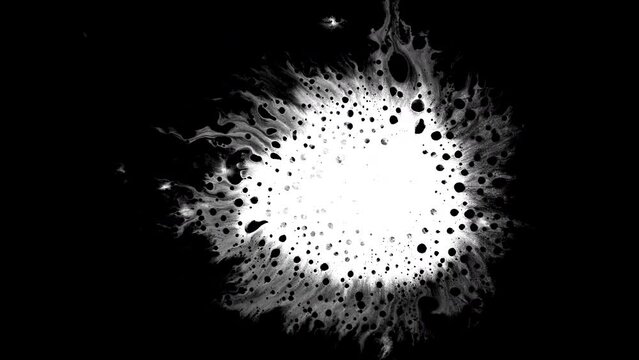 Beautiful white watercolor ink drops transition on black background, paint bleed Bloom, with circle organic flow expanding, pure splatter spreading. Perfect for motion graphics, digital composition