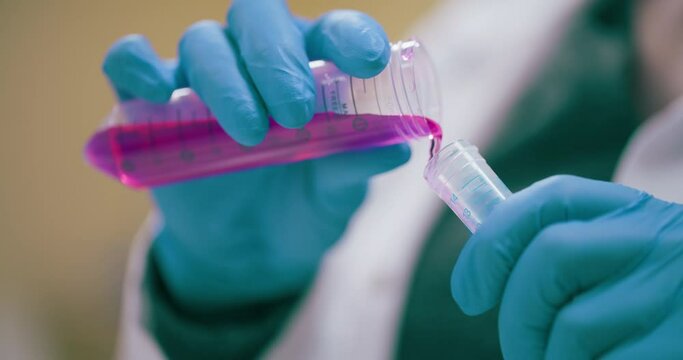 Scientist Working in Medical Laboratory Cancer Research Covic 19 Pandemic