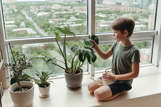 Kid carefully studies construction of green plant.