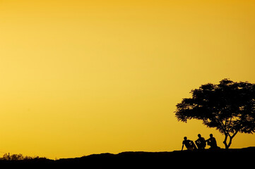 silhouette of three man relaxing beside a tree in sunset
