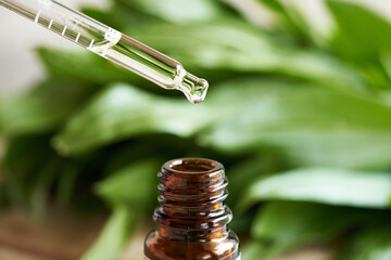 Dropping essential oil from a dropper into a glass bottle