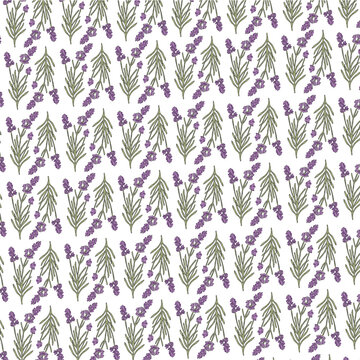 Patr&oacute;n de flor de lavanda ilustrada digitalmente png fondo transparente y vector