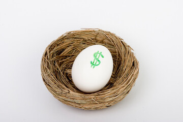 retirement nest egg dollars