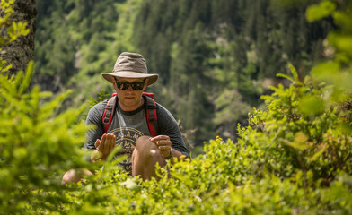 Caucasian tourist picking wild berries in the austrian mountains between green foliage during summertime. Alps, Austria, day, hat, man, caucasian, happy, searching, fruit