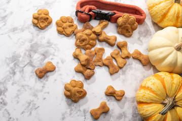 A pile of baked pumpkin dog treats on a marble background, with pumpkins and a burnt orange dog collar.