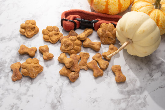 A pile of baked pumpkin dog treats on a marble background, with pumpkins and a burnt orange dog collar.