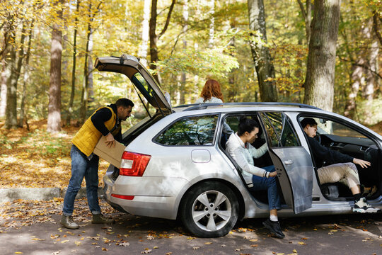 Automobile carpool nature together transportation grove