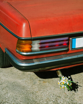 Red retro car with a bouquet of flowers in the tailpipe. 